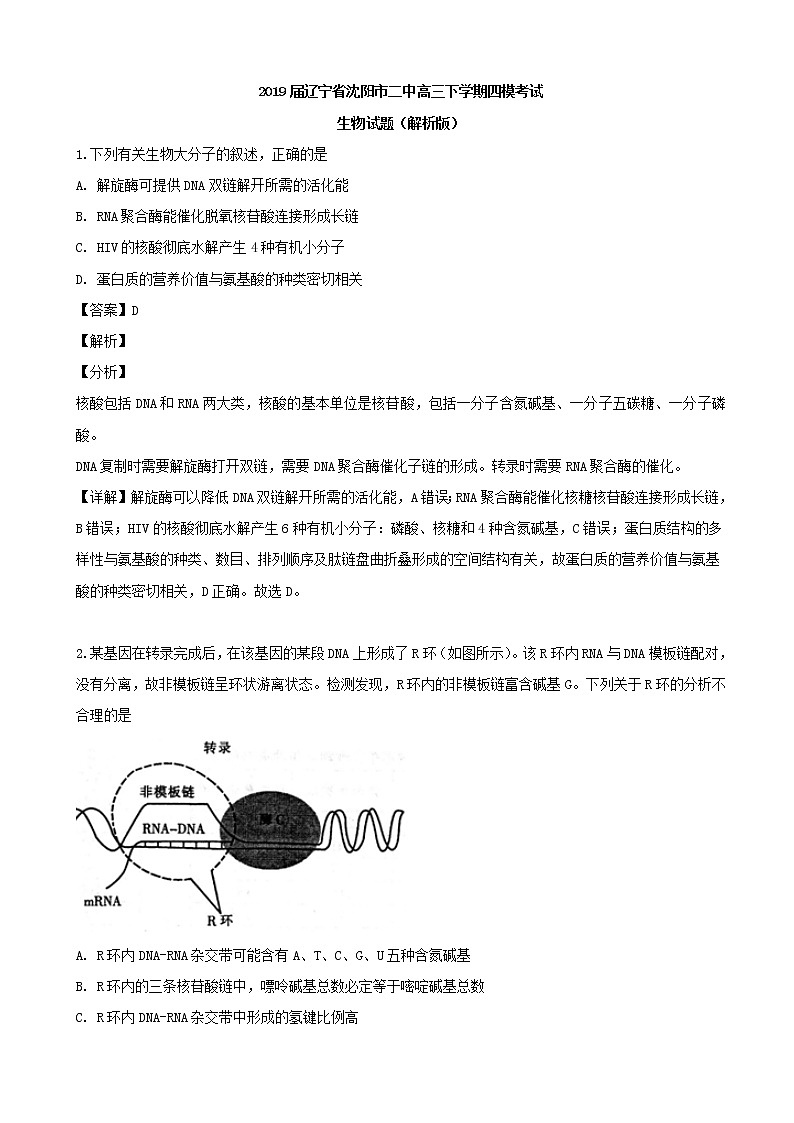 2019届辽宁省沈阳市二中高三下学期四模考试生物试题（解析版）第1页