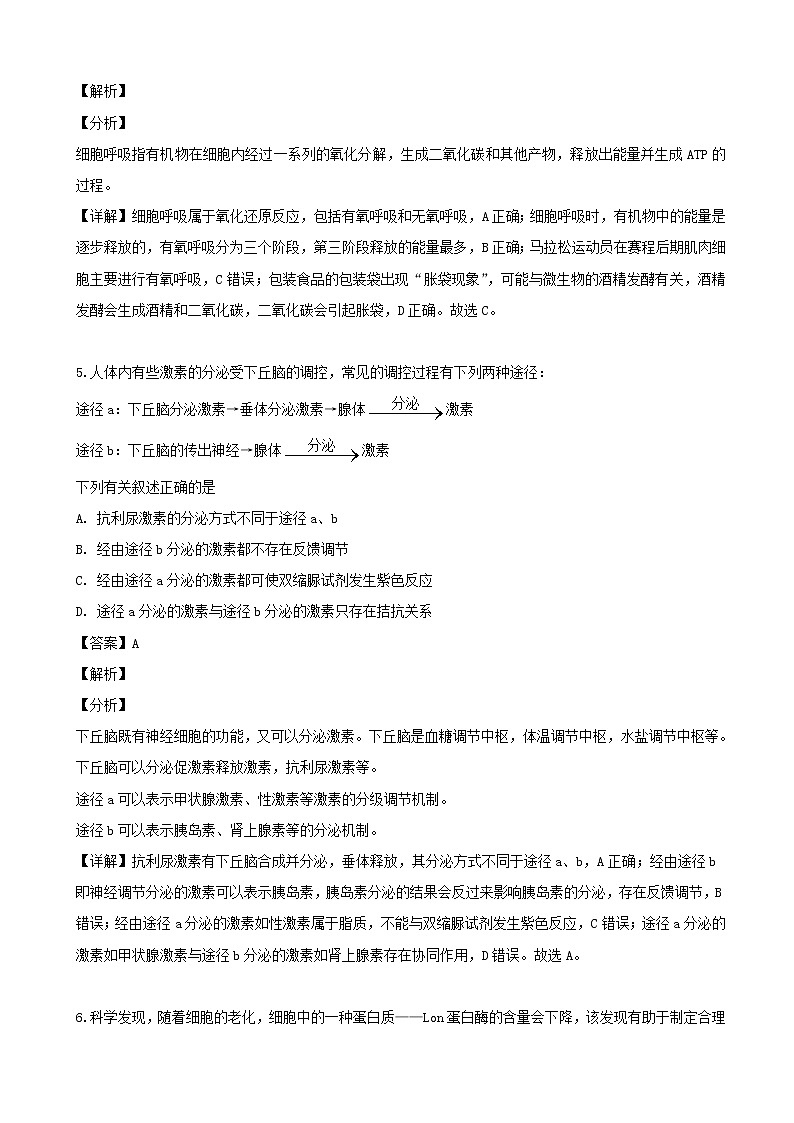 2019届辽宁省沈阳市二中高三下学期四模考试生物试题（解析版）第3页