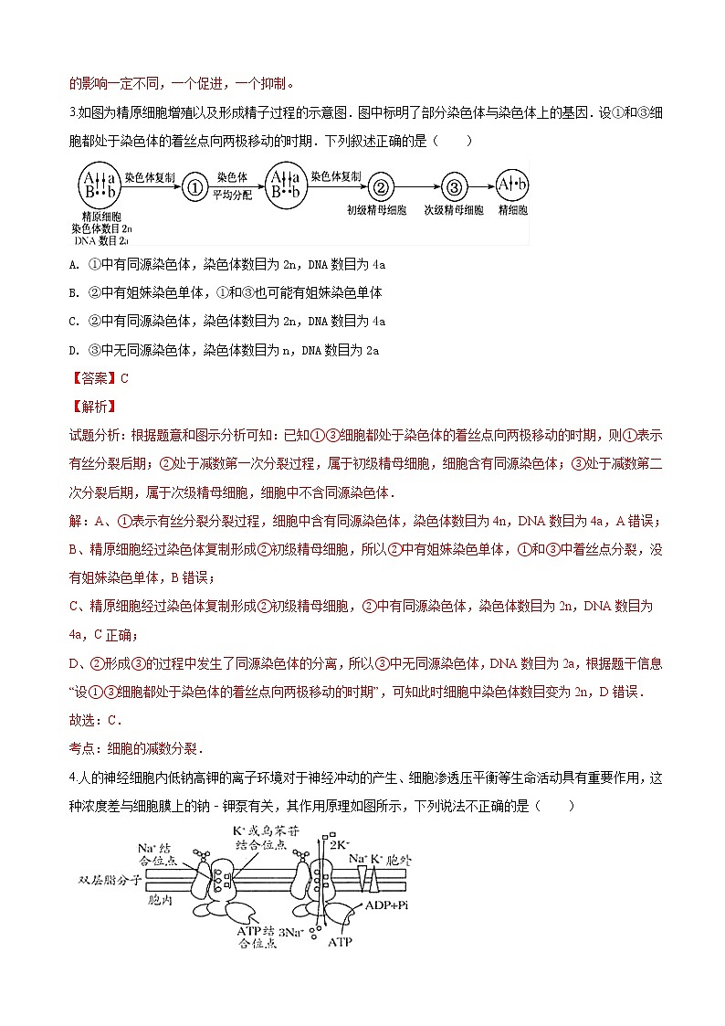 2019届内蒙古自治区鄂尔多斯市高三上学期一模考试生物试卷（解析版）02