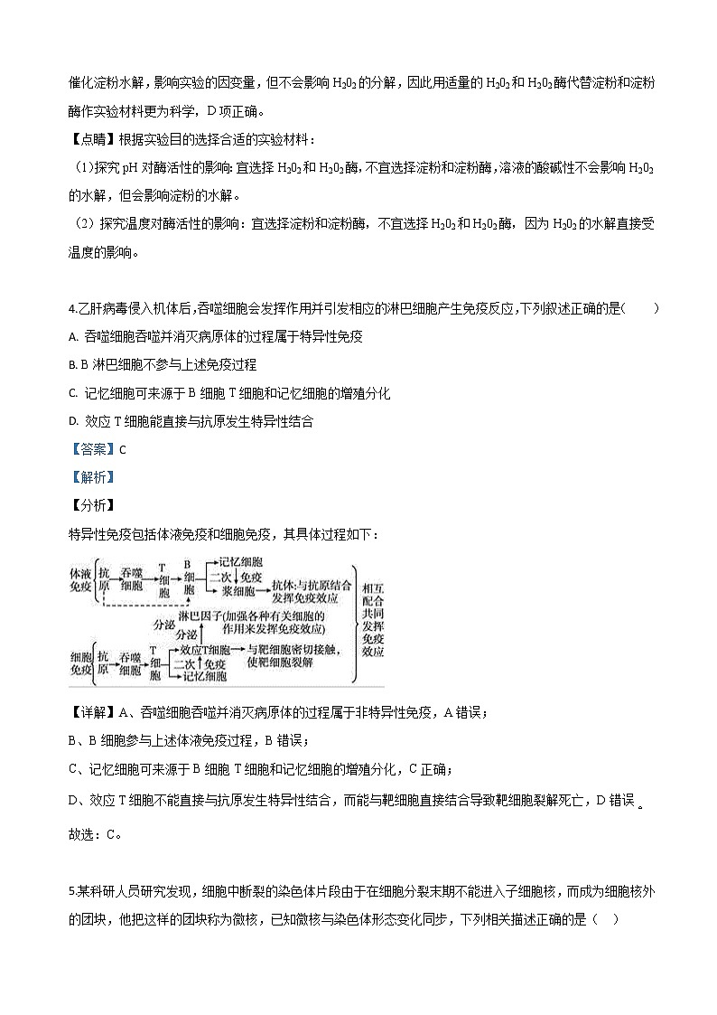 2019届内蒙古自治区呼和浩特市高三一模生物试卷（解析版）03