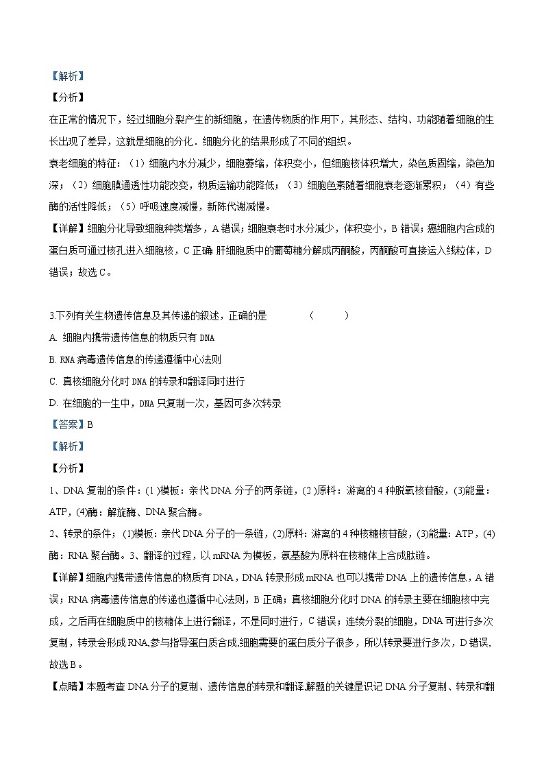 2019届宁夏石嘴山市第三中学高三四模考试 生物试题（解析版）第2页