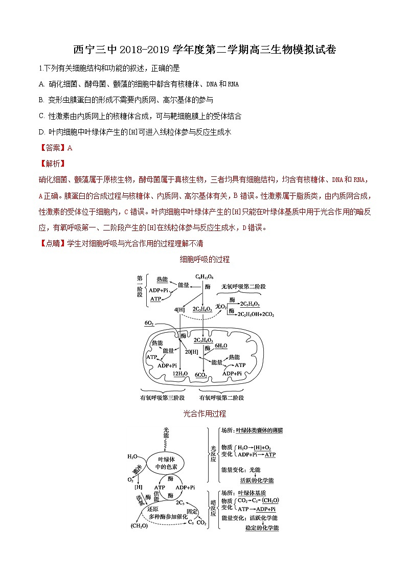 2019届青海省西宁三中高三下学期模拟考试生物试卷（解析版）01