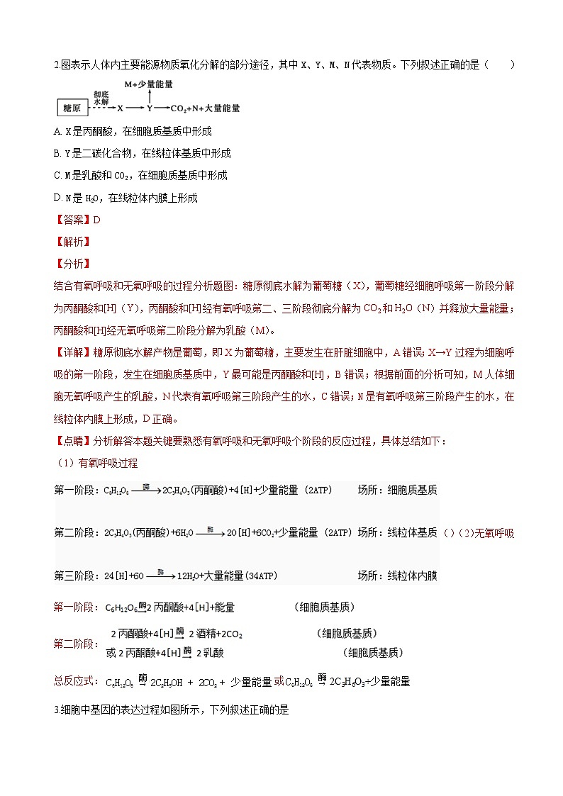 2019届青海省西宁三中高三下学期模拟考试生物试卷（解析版）02