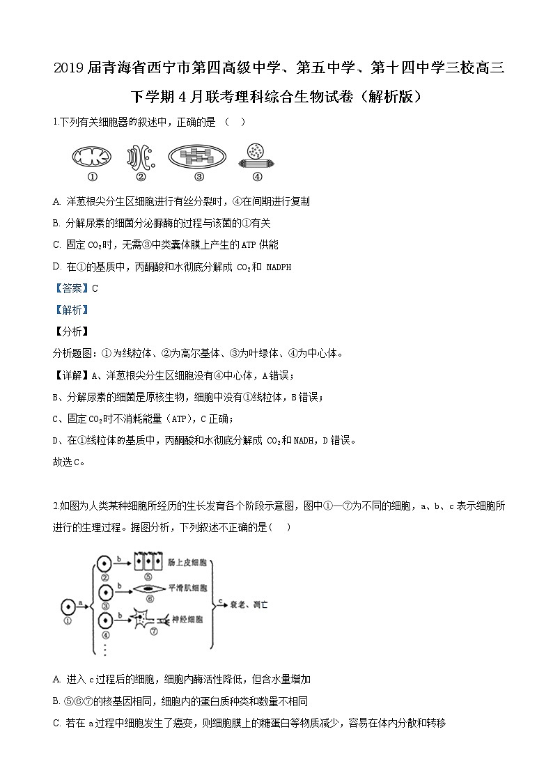 2019届青海省西宁市第四高级中学、第五中学、第十四中学三校高三下学期4月联考理科综合生物试卷（解析版）01