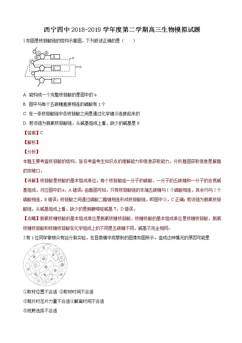 2019届青海省西宁市第四高级中学高三下学期高考模拟生物试卷（解析版）01