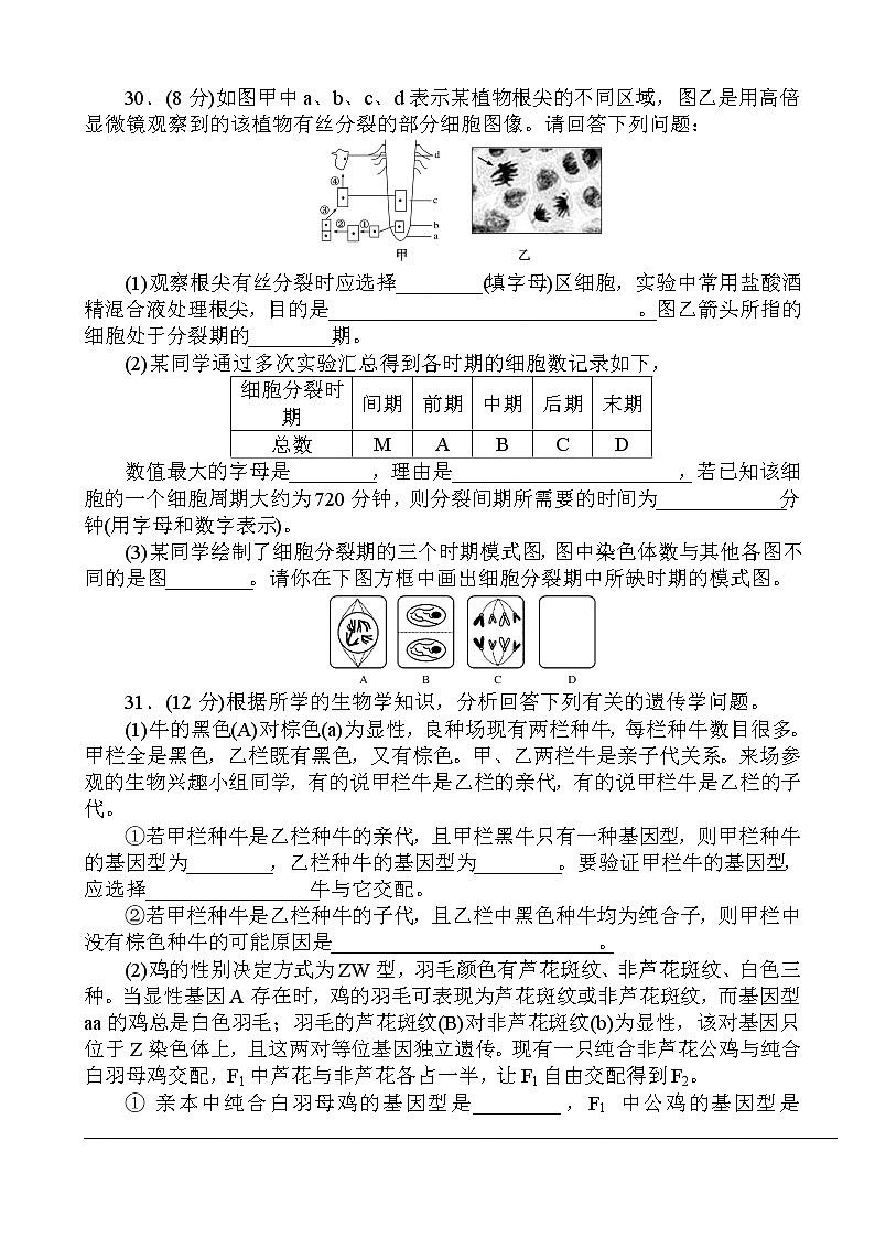 2019届全国高考生物仿真提高卷3（解析版）第3页