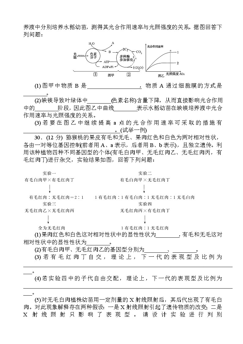 2019届全国高考生物仿真提高卷4（解析版）第3页