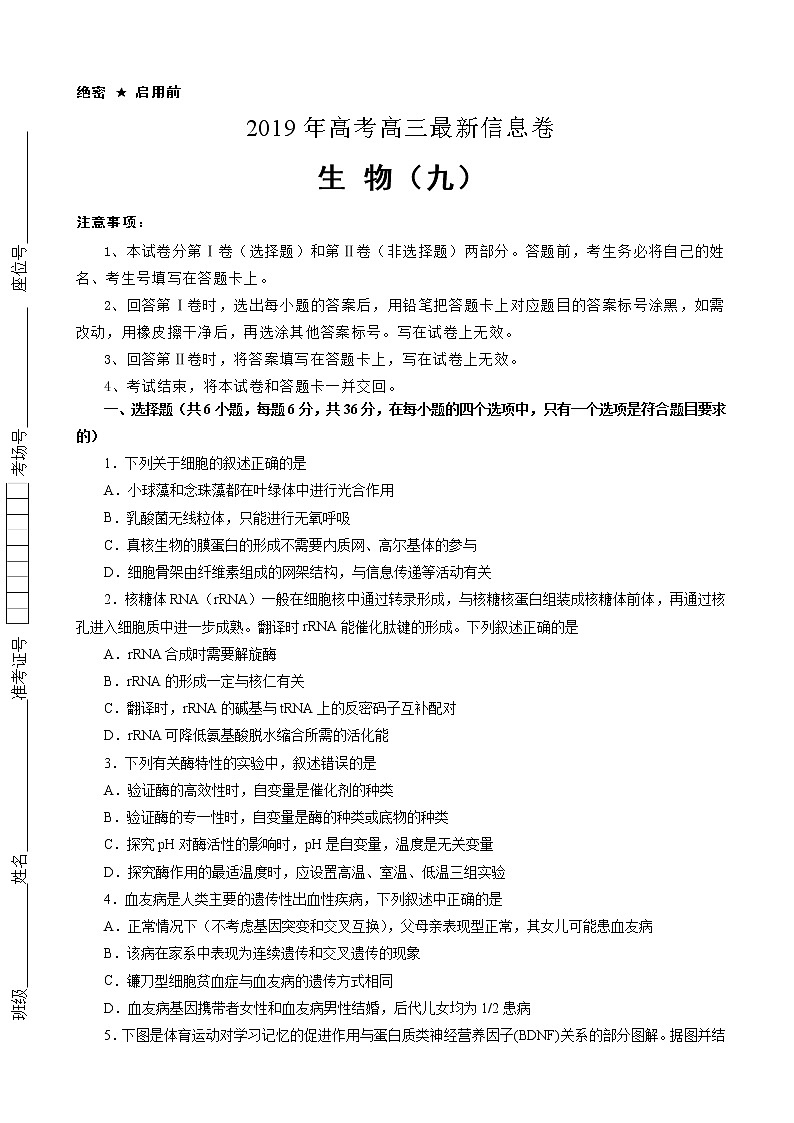 2019届全国普通高中高三5月信息卷 生物（九）（解析版）01
