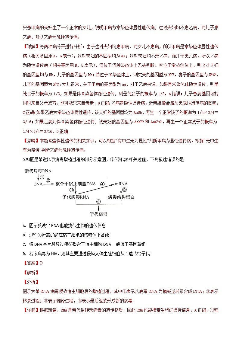 2019届山东省菏泽市高三下学期第一次模拟考试理科综合试卷生物试卷（解析版）03