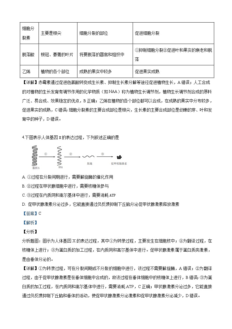 2019届山东省济南师范大学附中高三下学期高考考前模拟理科综合生物试卷（解析版）03