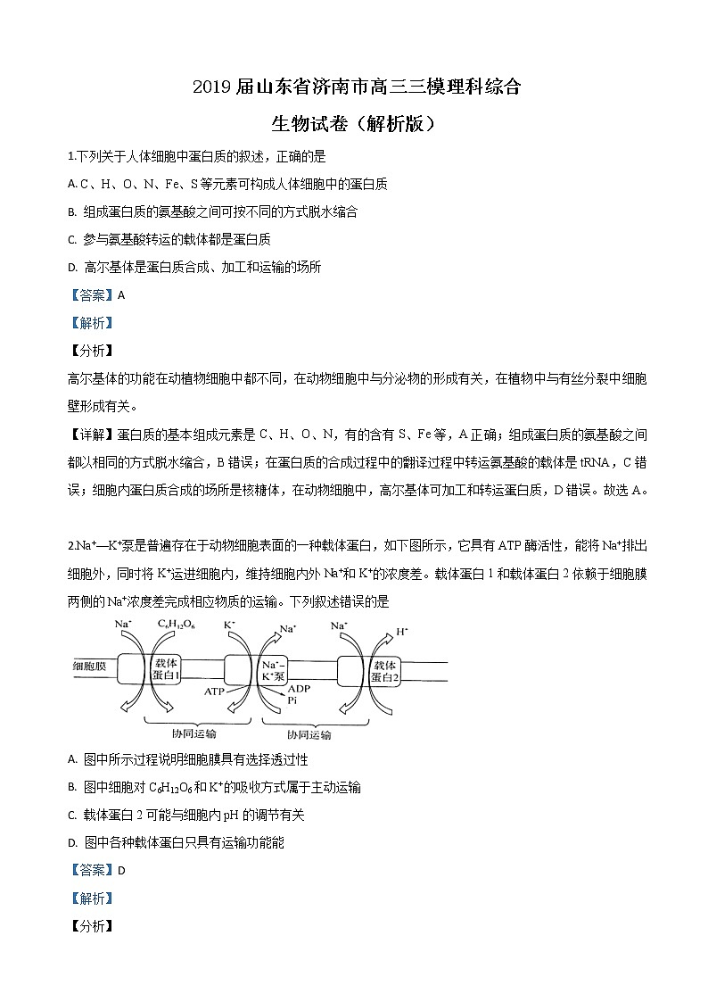 2019届山东省济南市高三三模理科综合生物试卷（解析版）01