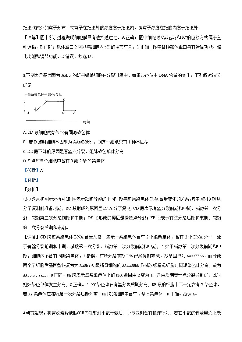 2019届山东省济南市高三三模理科综合生物试卷（解析版）02