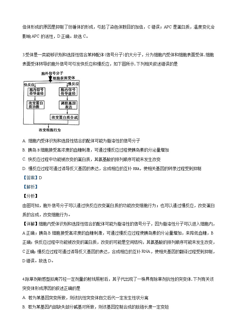 2019届山东省聊城市高三二模考试理科综合生物试卷（解析版）02