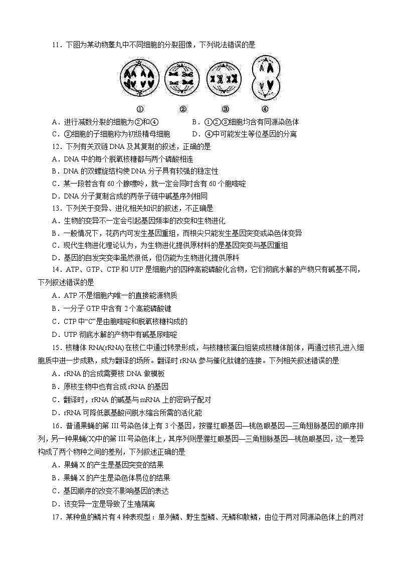 2019届山东省青岛市高三9月份调研检测（生物）word版03