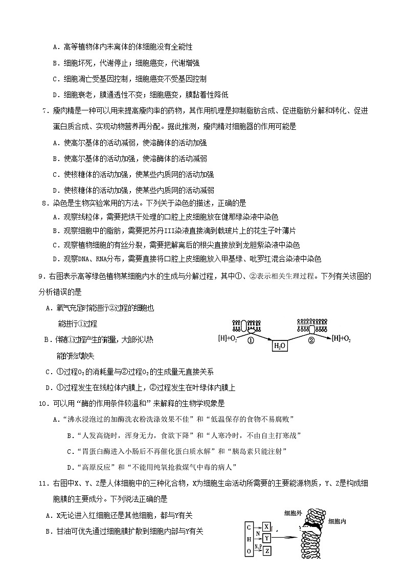 2019届山东省日照第一中学高三11月统考考前模拟试题生物试题02