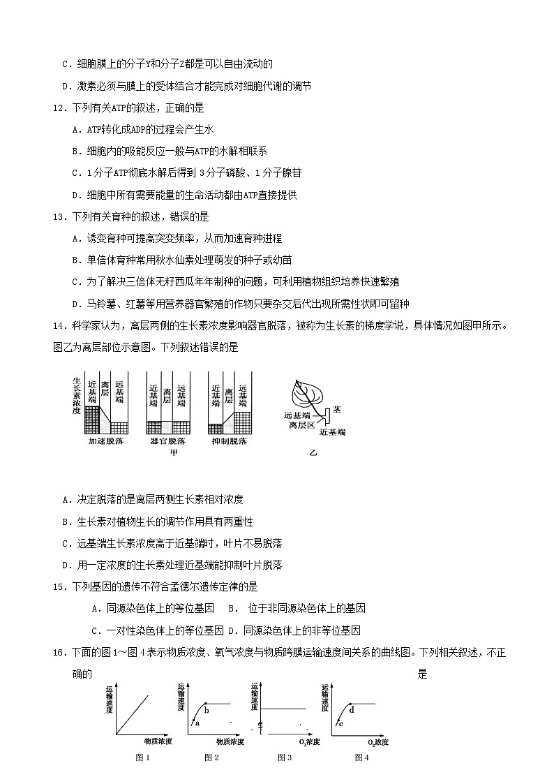 2019届山东省日照第一中学高三11月统考考前模拟试题生物试题03