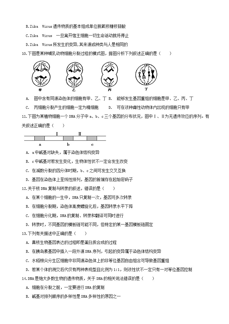 2019届山东省日照一中高三11月统考考前模拟试题生物试卷03