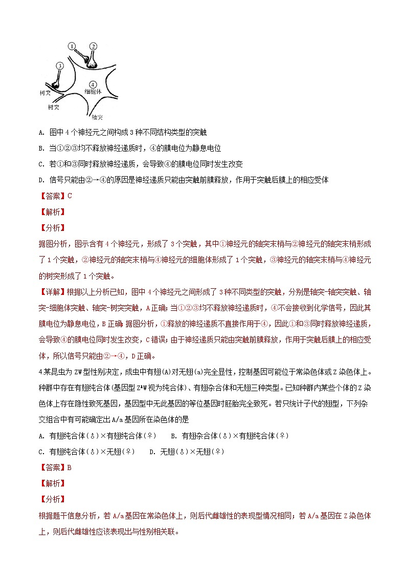 2019届山东省淄博市高三一模考试理科综合生物试卷（解析版）03