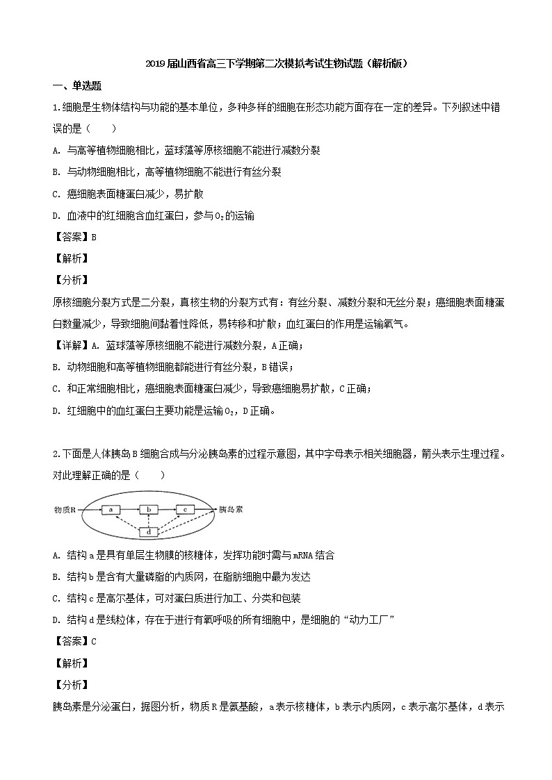 2019届山西省高三下学期第二次模拟考试生物试题（解析版）01