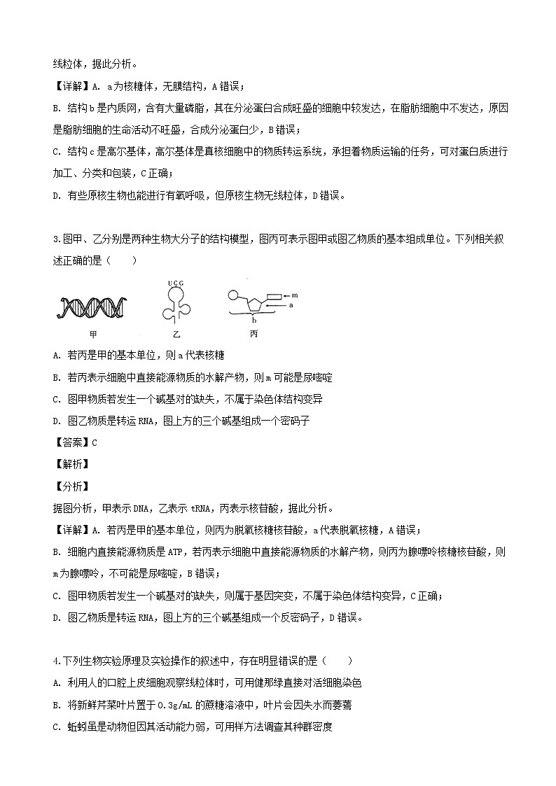 2019届山西省高三下学期第二次模拟考试生物试题（解析版）02