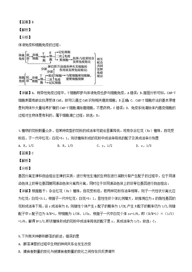 2019届山西省晋城市高三三模考试生物试题（解析版）03