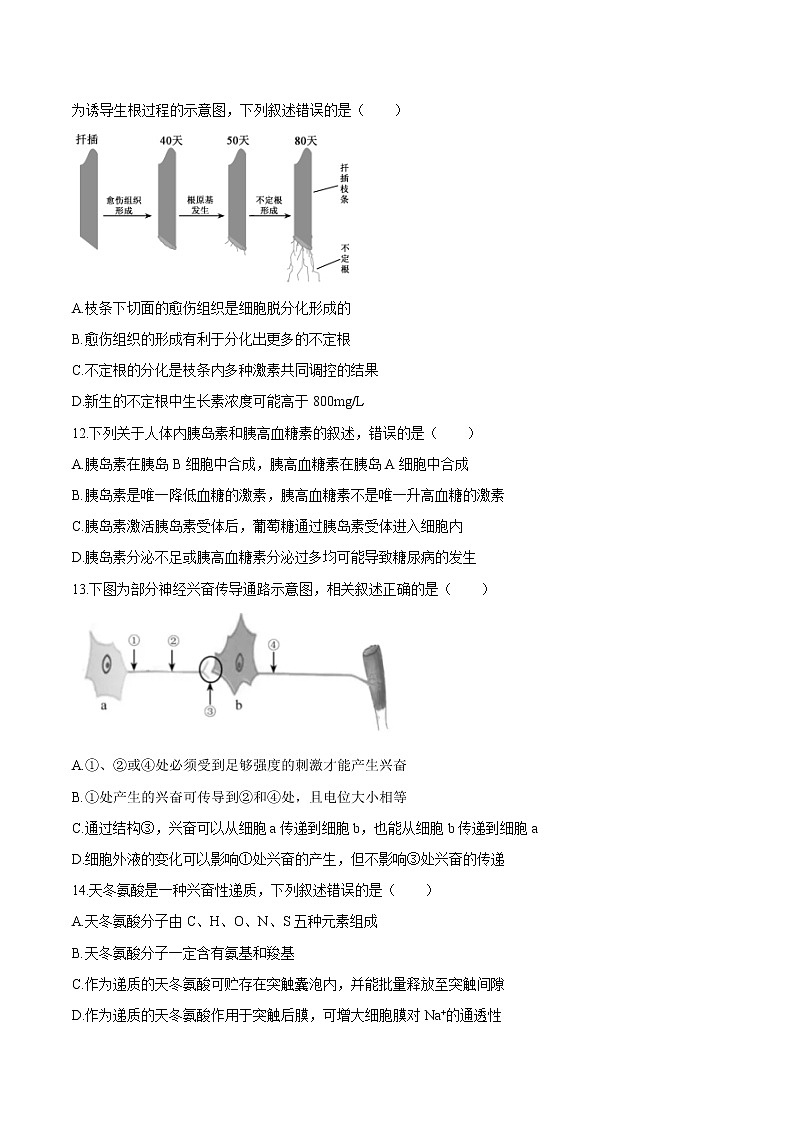 2020年高考生物江苏卷真题及答案解析03