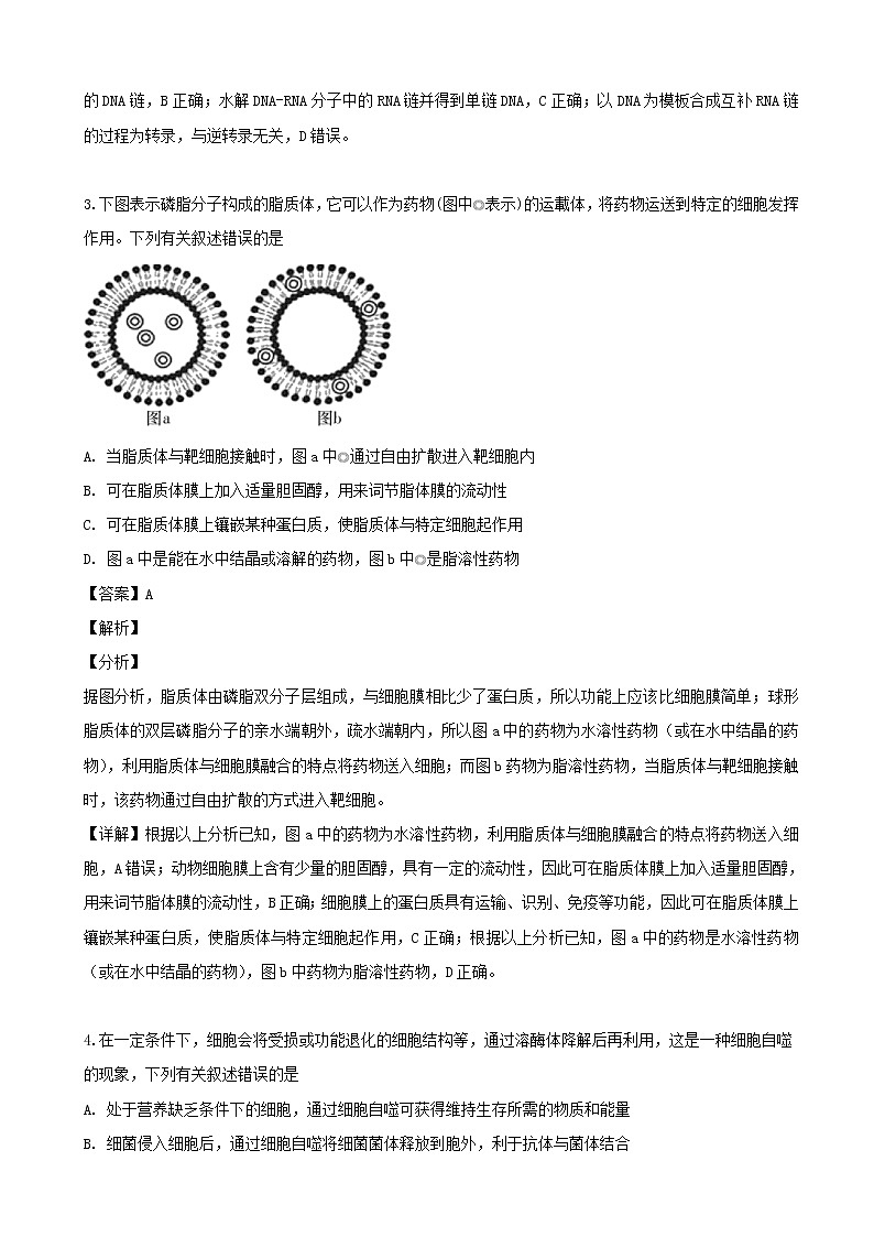 2019届湖南省师大附中高三下学期三模考试理综生物试题（解析版）第2页