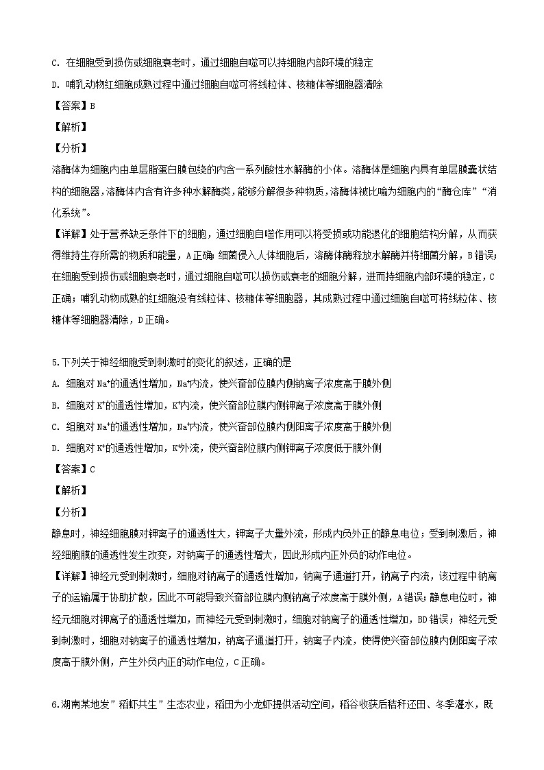 2019届湖南省师大附中高三下学期三模考试理综生物试题（解析版）第3页