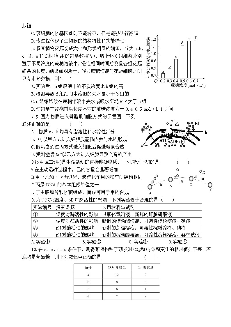 2019届湖南省益阳市箴言中学高三上学期10月模拟考试 生物02