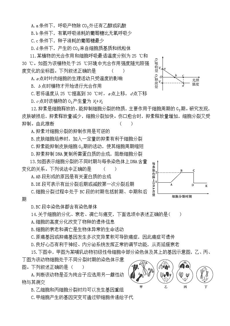 2019届湖南省益阳市箴言中学高三上学期10月模拟考试 生物03