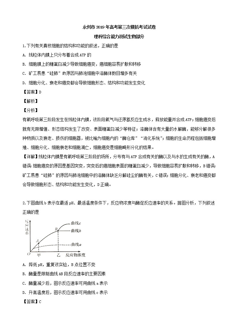 2019届湖南省永州市高三下学期第三次模拟考试理科综合生物试题（解析版）01