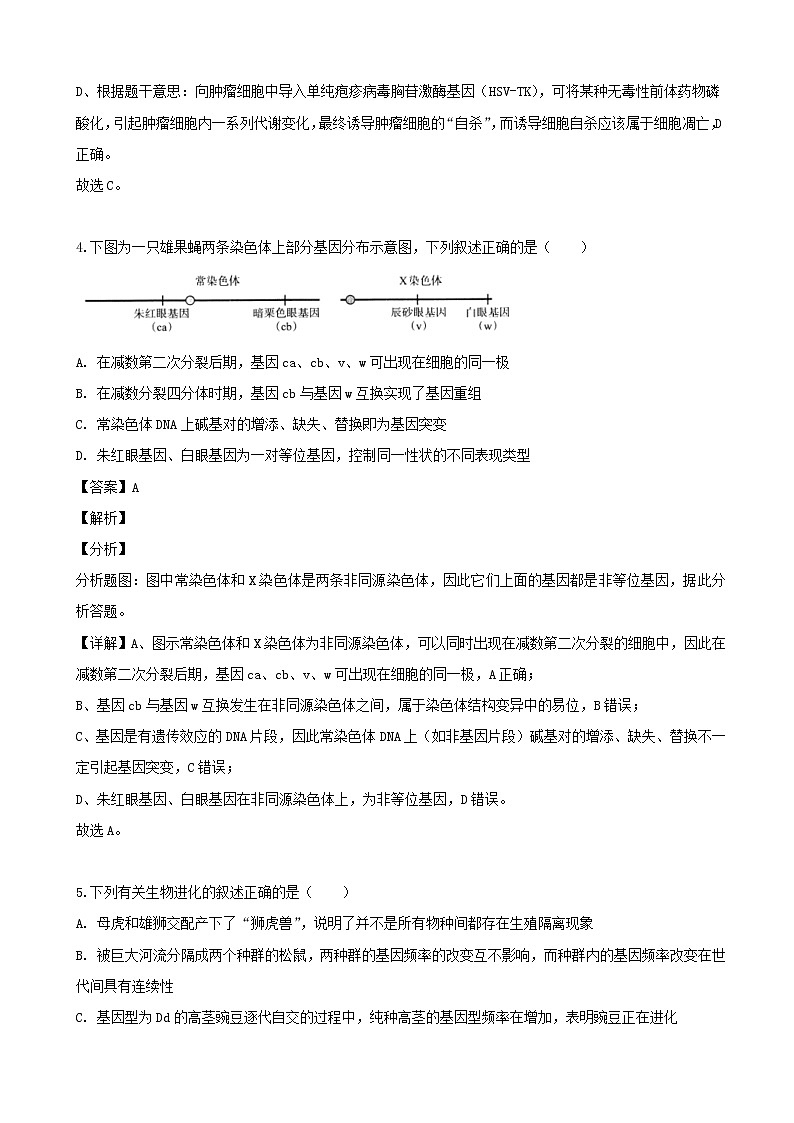 2019届湖南省岳阳市一中高三一模考试理综生物试题（解析版）03