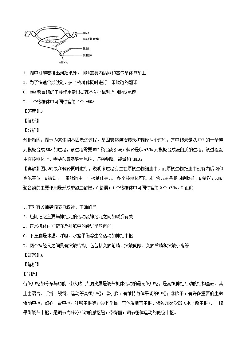 2019届湖南省长沙市第一中学高三下学期高考模拟卷（一）理科综合生物试题（解析版）03