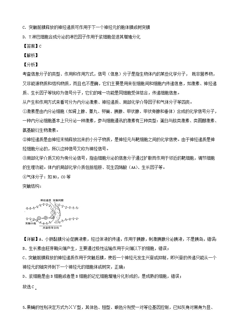 2019届湖南省长沙市雅礼中学高三下学期热身训练理综生物试题（解析版）第3页