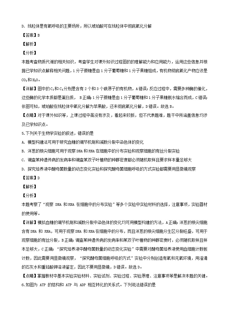 2019届湖南省长沙市长郡中学高三上学期第三次调研考试生物试题（解析版）03