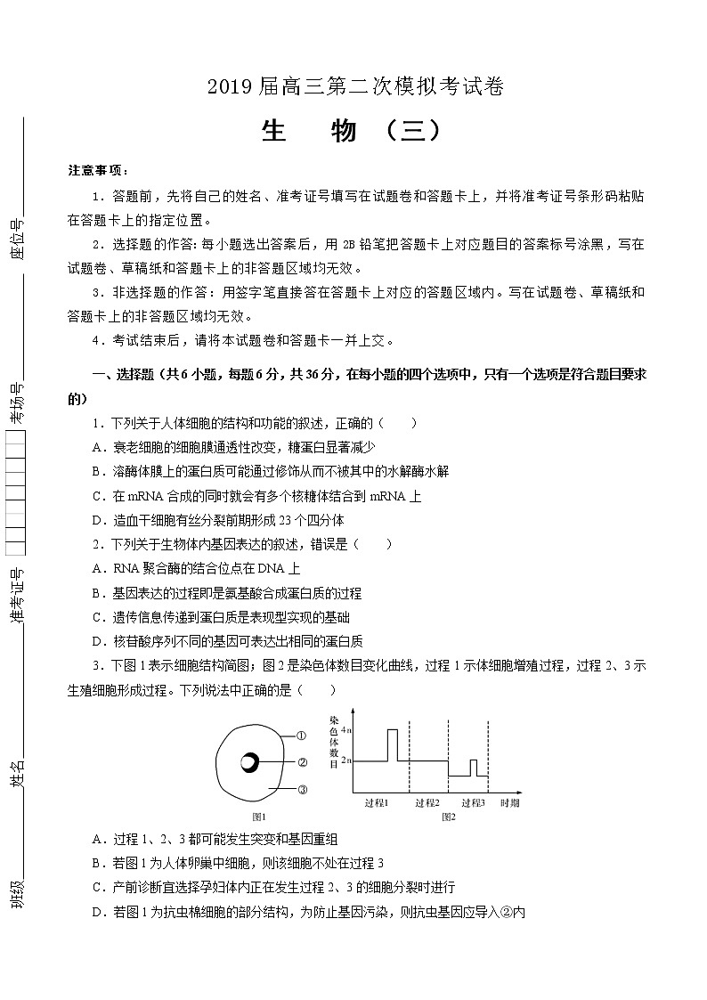 2019届吉林省白城四中高三第二次模拟考试卷 生物（解析版）01