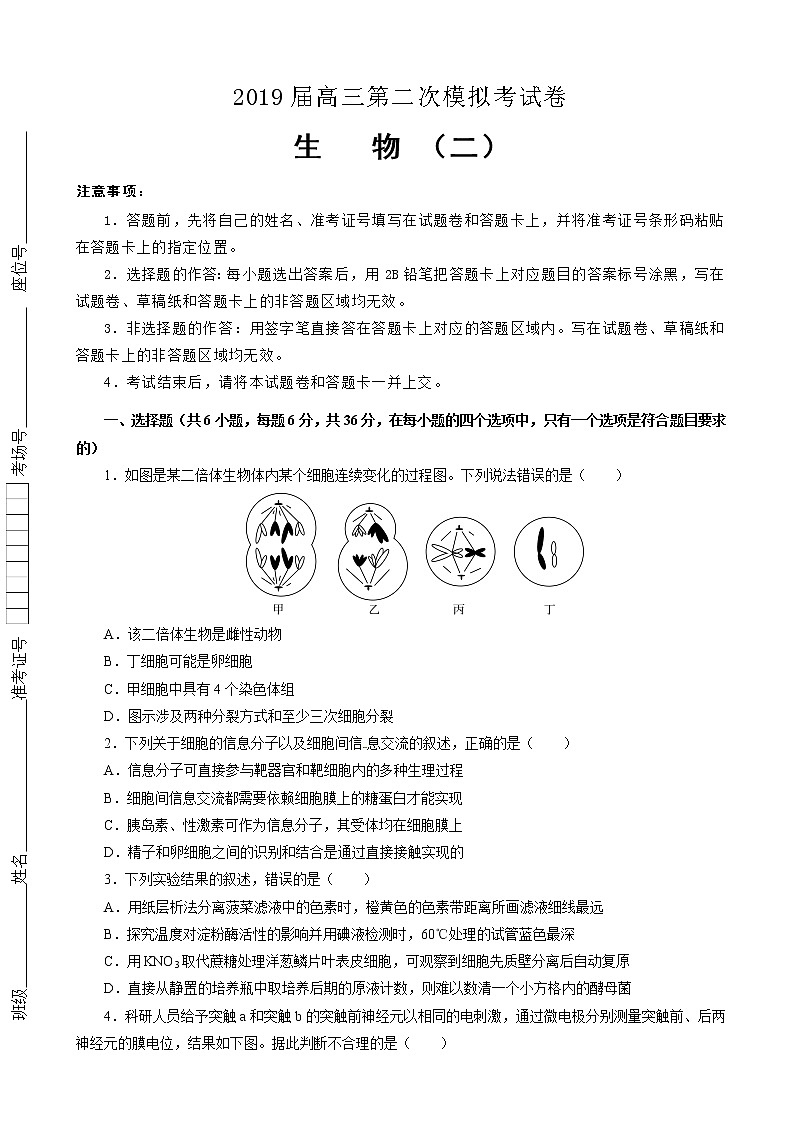 2019届吉林省辽源高中高三第二次模拟考试卷 生物（解析版）01