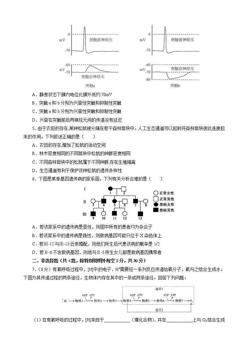 2019届吉林省辽源高中高三第二次模拟考试卷 生物（解析版）02