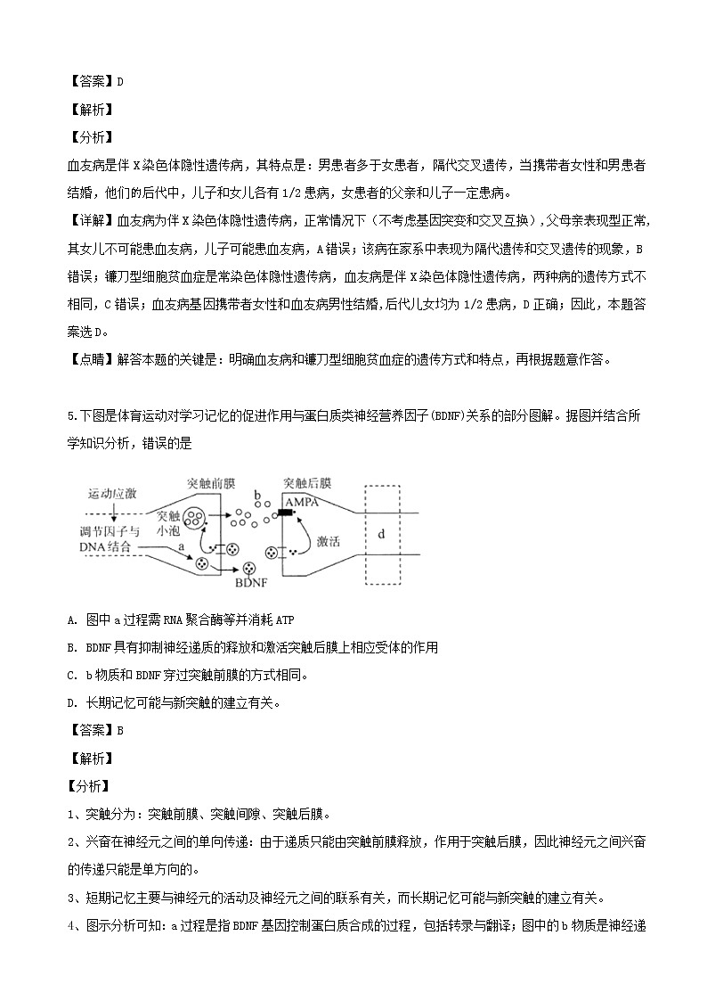 2019届吉林省辽源市五中高三最后一模生物试题（解析版）第3页