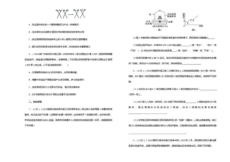 2019届吉林省松原市高中高三上学期第三次模拟考试卷 生物（解析版）02