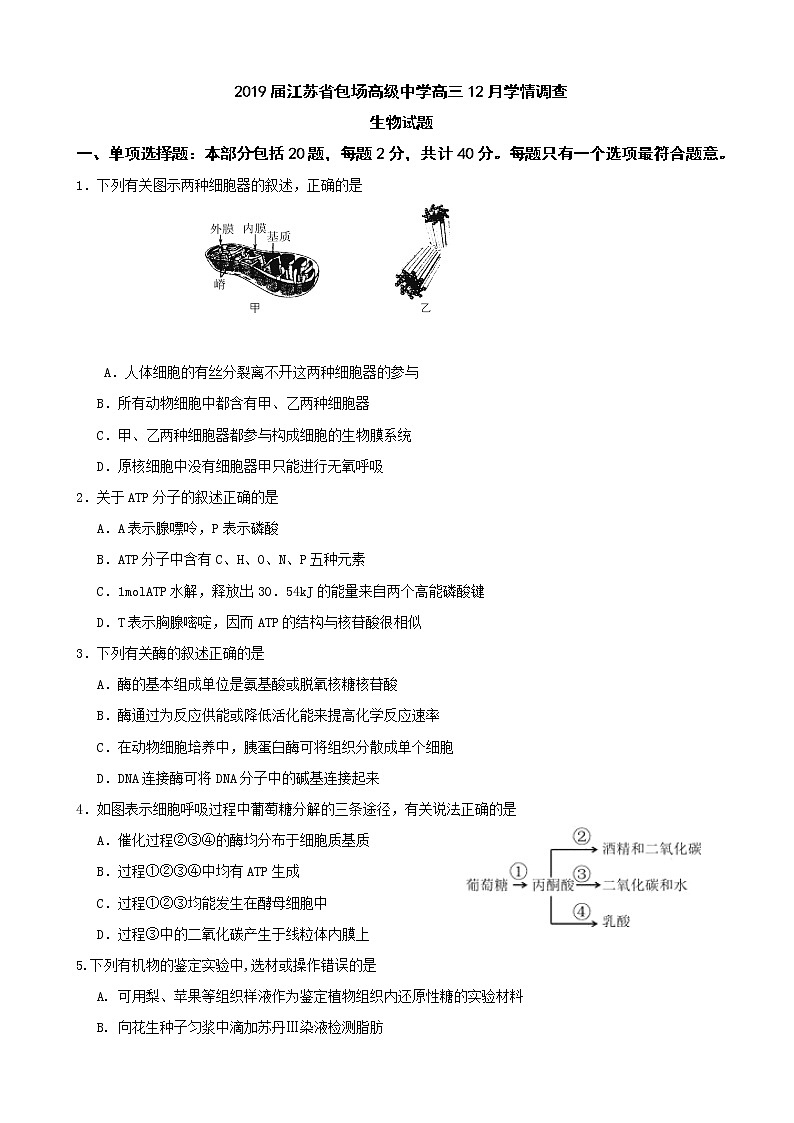 2019届江苏省包场高级中学高三12月学情调查生物试题（word版）01