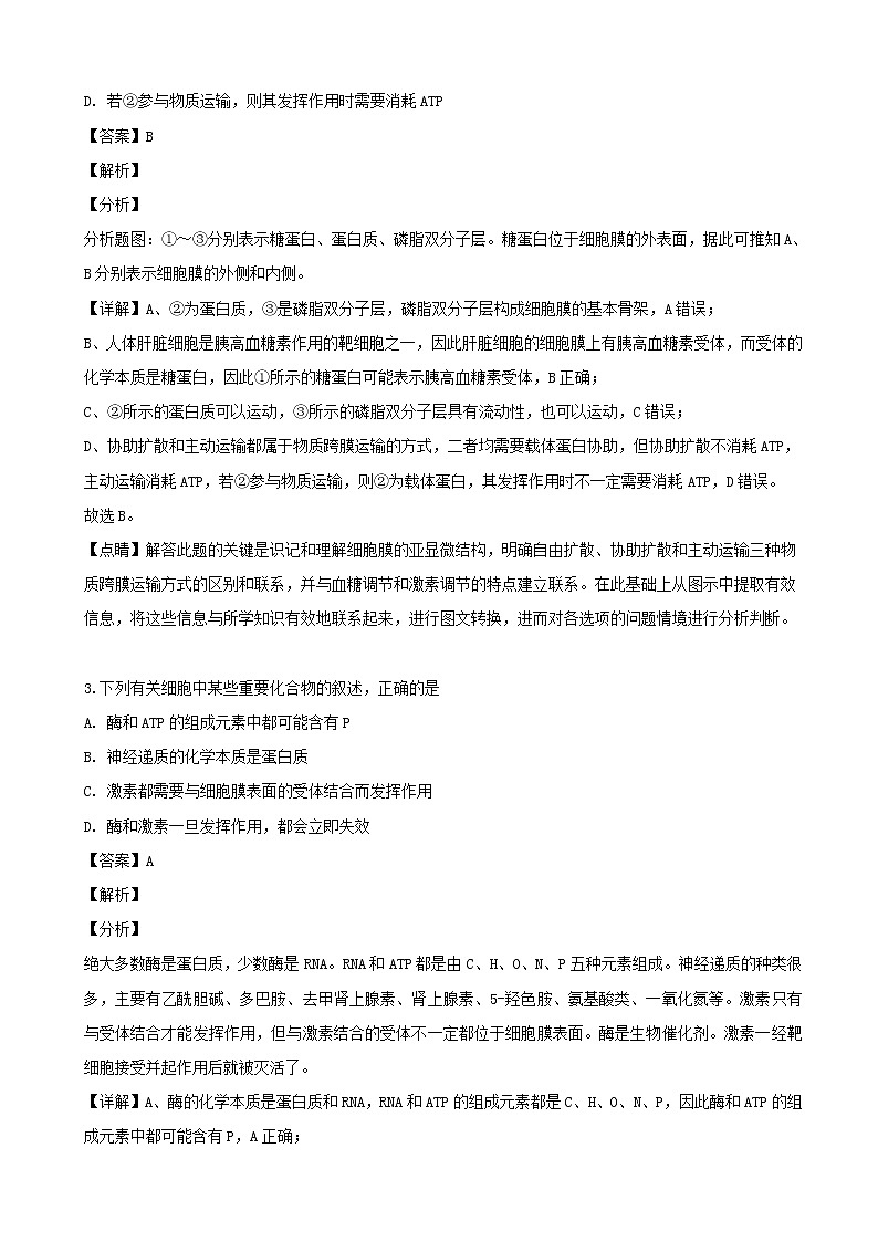 2019届江苏省海门中学高三下学期教学质量调研模拟生物试题（解析版）第2页