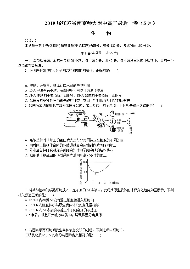 2019届江苏省南京师大附中高三最后一卷（5月） 生物 word版01