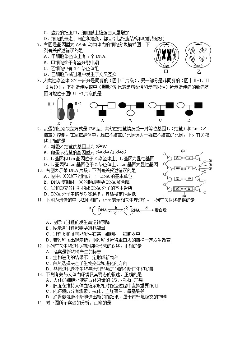 2019届江苏省南京市、盐城市高三第一次模拟考试（1月） 生物第2页