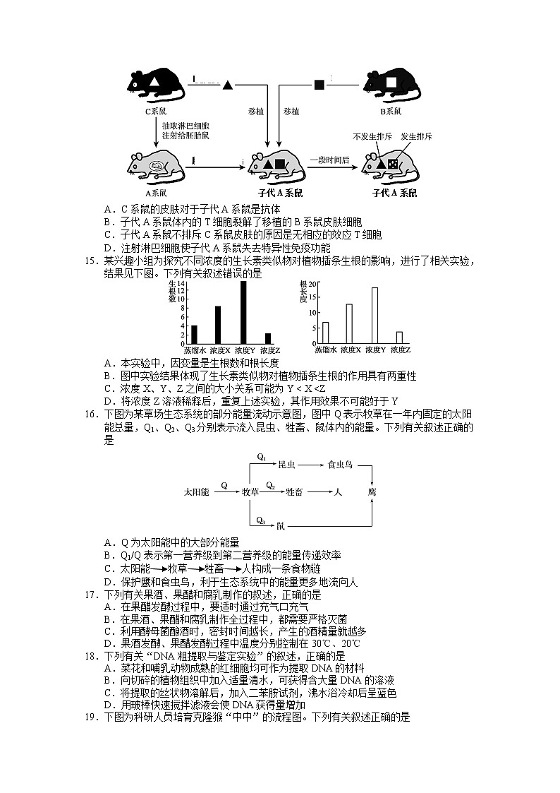 2019届江苏省南京市、盐城市高三第一次模拟考试（1月） 生物第3页