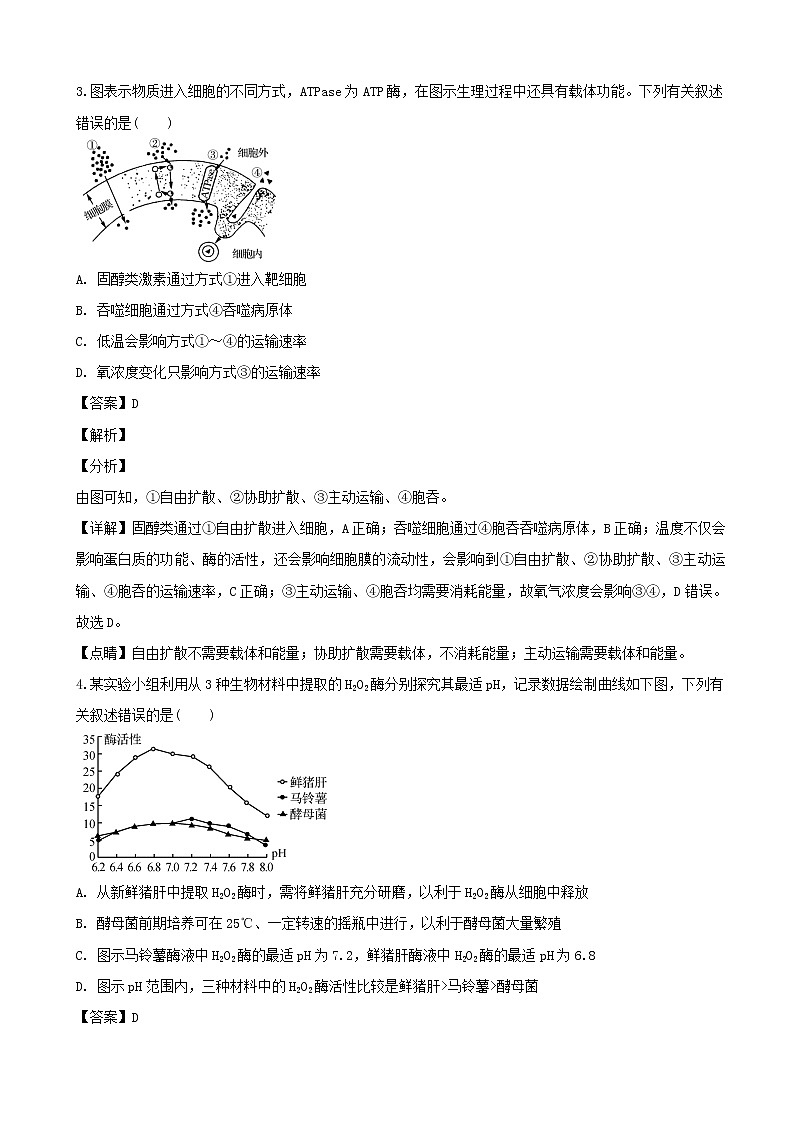 2019届江苏省南京市、盐城市高三下学期第二次模拟考试生物试题（解析版）第2页