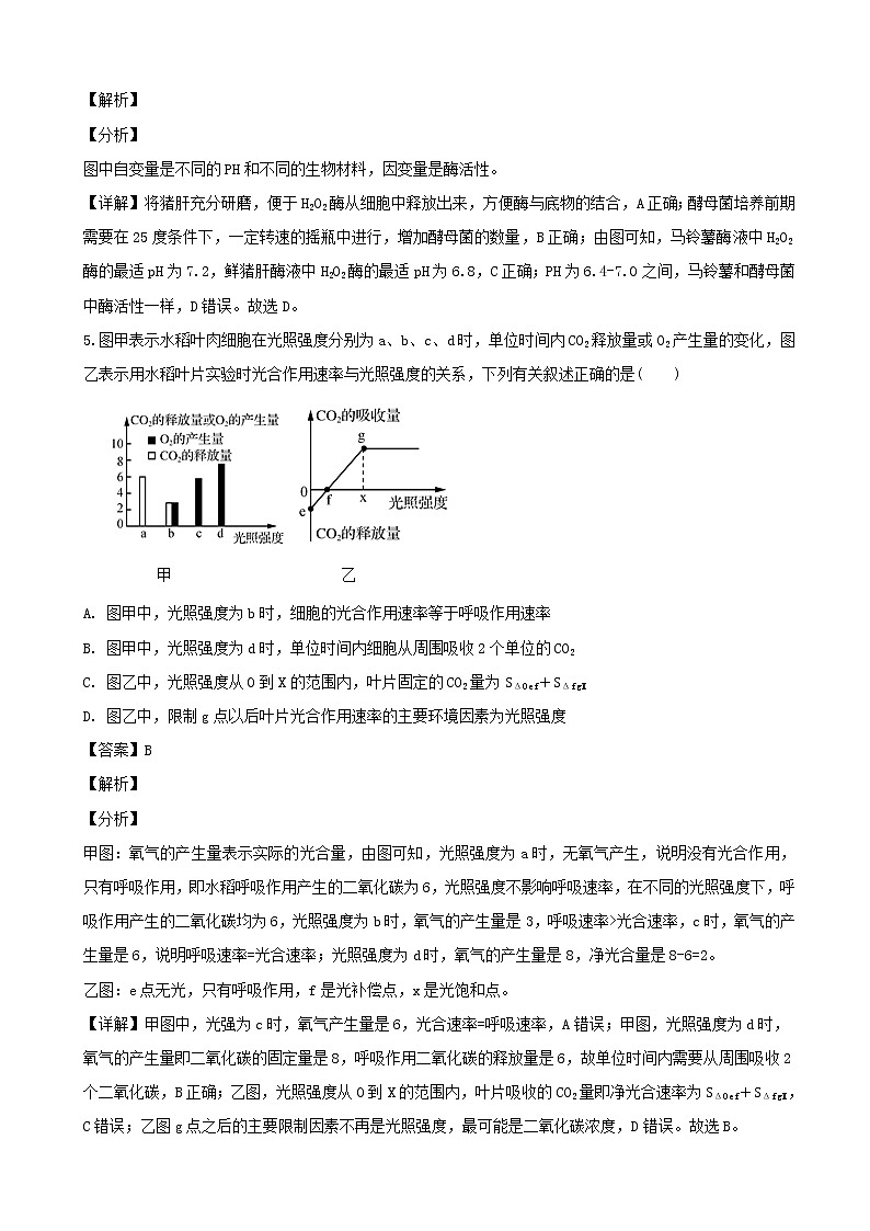 2019届江苏省南京市、盐城市高三下学期第二次模拟考试生物试题（解析版）第3页