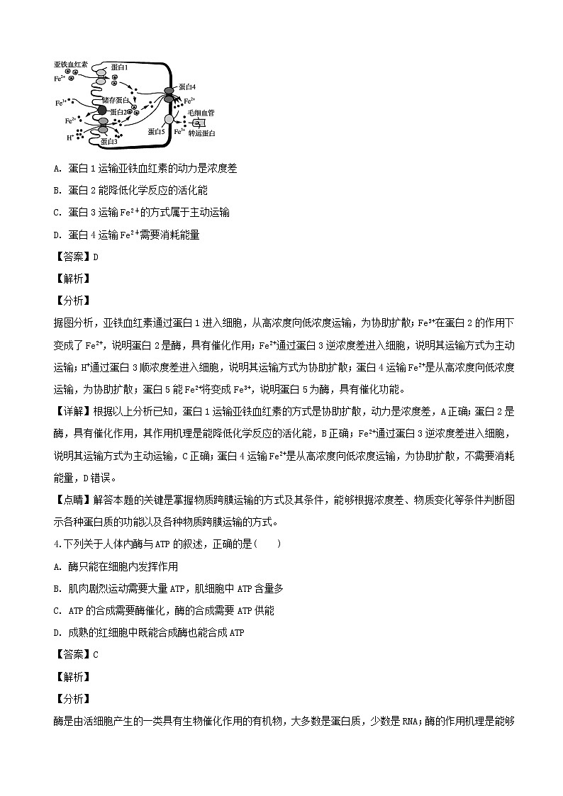 2019届江苏省南通市高三上学期第一次模拟考试生物试题（解析版）02
