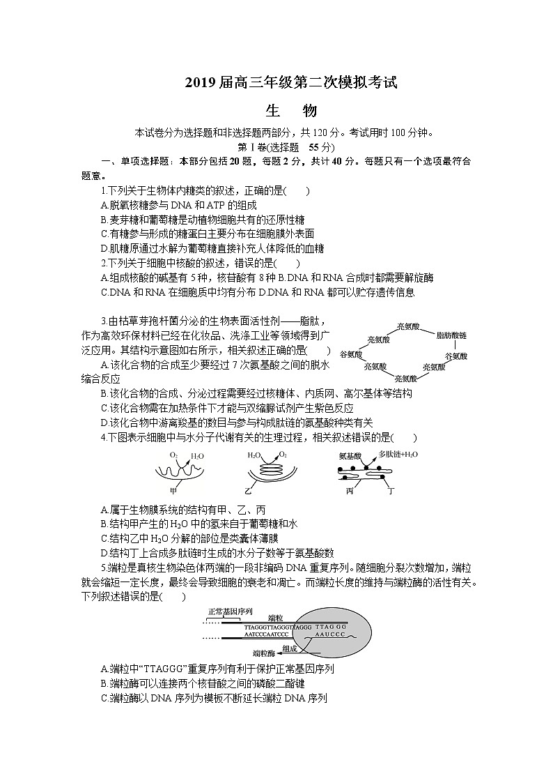 2019届江苏省苏锡常镇四市高三第二次模拟考试 生物01