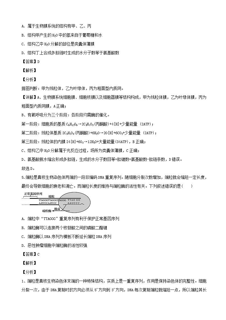 2019届江苏省苏锡常镇四市高三下学期第二次模拟考试生物试题（解析版）第3页